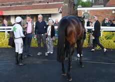 Foran Equine Open Hunters' Chase