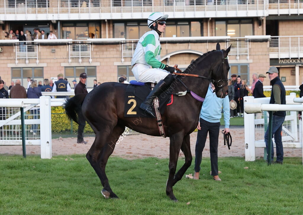 Carr&Day&Martin Open Hunters' Chase