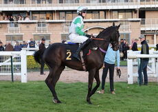 Carr&Day&Martin Open Hunters' Chase