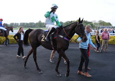 Carr&Day&Martin Open Hunters' Chase