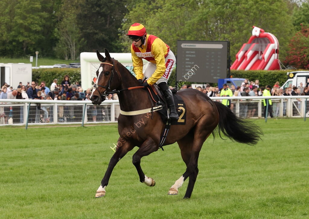 Moore & Tibbits Family Fun Day Mares' Maiden Hurdle