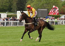 Moore & Tibbits Family Fun Day Mares' Maiden Hurdle