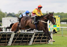 Moore & Tibbits Family Fun Day Mares' Maiden Hurdle