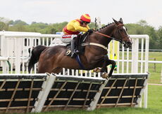 Moore & Tibbits Family Fun Day Mares' Maiden Hurdle