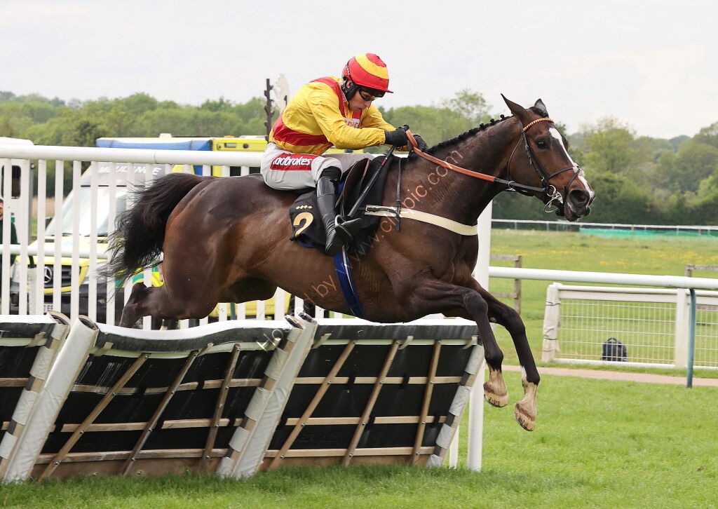 Moore & Tibbits Family Fun Day Mares' Maiden Hurdle