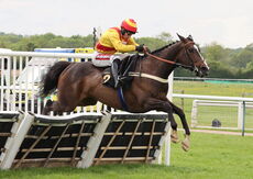 Moore & Tibbits Family Fun Day Mares' Maiden Hurdle