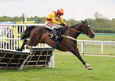 Moore & Tibbits Family Fun Day Mares' Maiden Hurdle