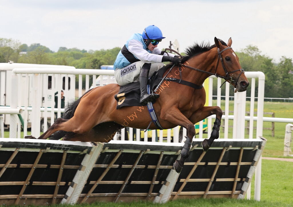 Moore & Tibbits Family Fun Day Mares' Maiden Hurdle