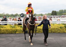 Moore & Tibbits Family Fun Day Mares' Maiden Hurdle