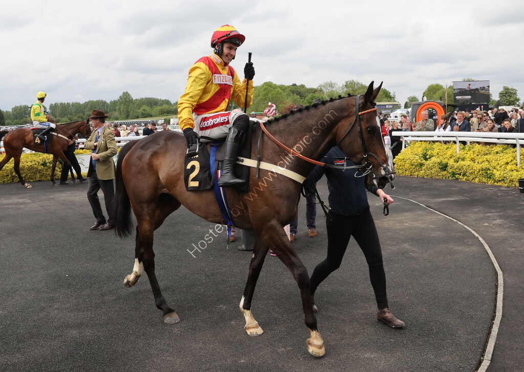 Moore & Tibbits Family Fun Day Mares' Maiden Hurdle