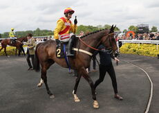 Moore & Tibbits Family Fun Day Mares' Maiden Hurdle