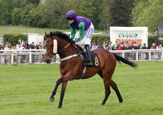 Moore & Tibbits Solicitors Handicap Chase