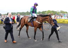 Moore & Tibbits Solicitors Handicap Chase