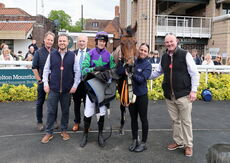 Moore & Tibbits Solicitors Handicap Chase