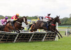 Hazelton Mountford Insurance Handicap Hurdle