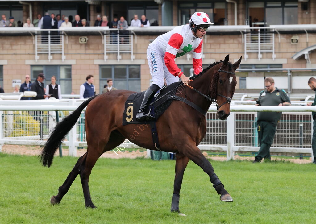 M & T Solicitors In Warwick Handicap Chase