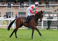 M & T Solicitors In Warwick Handicap Chase