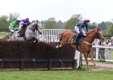 M & T Solicitors In Warwick Handicap Chase