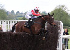 M & T Solicitors In Warwick Handicap Chase