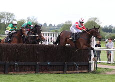 M & T Solicitors In Warwick Handicap Chase