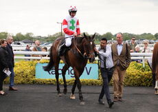 M & T Solicitors In Warwick Handicap Chase