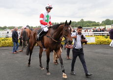 M & T Solicitors In Warwick Handicap Chase