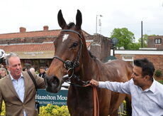 M & T Solicitors In Warwick Handicap Chase