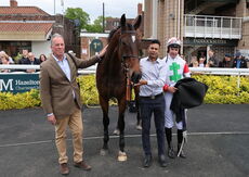 M & T Solicitors In Warwick Handicap Chase