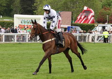 Moore & Tibbits Handicap Hurdle