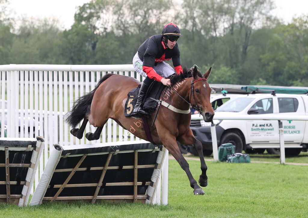 Moore & Tibbits Handicap Hurdle