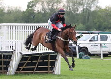 Moore & Tibbits Handicap Hurdle