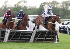 Moore & Tibbits Handicap Hurdle
