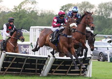 Moore & Tibbits Handicap Hurdle