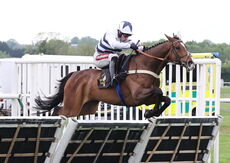 Moore & Tibbits Handicap Hurdle