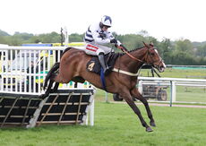 Moore & Tibbits Handicap Hurdle