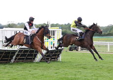 Moore & Tibbits Handicap Hurdle