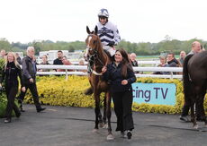 Moore & Tibbits Handicap Hurdle
