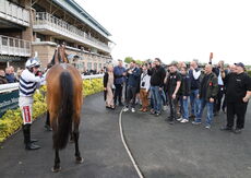 Moore & Tibbits Handicap Hurdle
