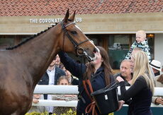 Moore & Tibbits Handicap Hurdle