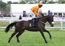 Racing To School Mares' Handicap Hurdle