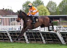 Racing To School Mares' Handicap Hurdle
