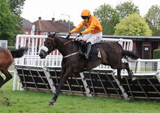 Racing To School Mares' Handicap Hurdle