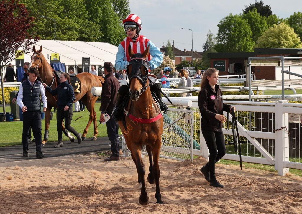 SVE Services Cond Jockeys' H'cap Chase
