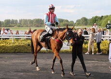 SVE Services Cond Jockeys' H'cap Chase