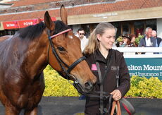 SVE Services Cond Jockeys' H'cap Chase