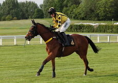 Mike Mohan's 60th Birthday "NH" Maiden Hurdle