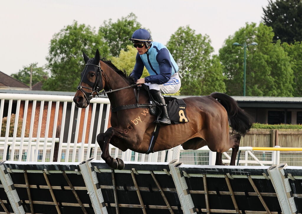 Mike Mohan's 60th Birthday "NH" Maiden Hurdle