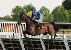 Mike Mohan's 60th Birthday "NH" Maiden Hurdle