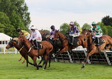Mike Mohan's 60th Birthday "NH" Maiden Hurdle