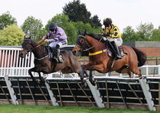Mike Mohan's 60th Birthday "NH" Maiden Hurdle